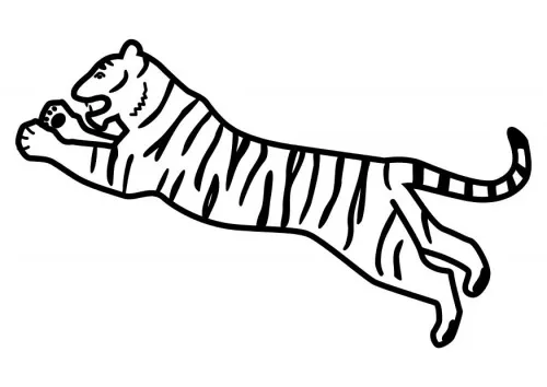 Tigris illusztráció – természetes mozgás